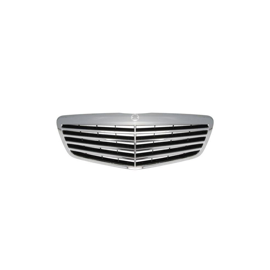 Blic 6502-07-3514992P Radiator Grille Suitable for Mercedes-Benz S-Class Saloon (W221)