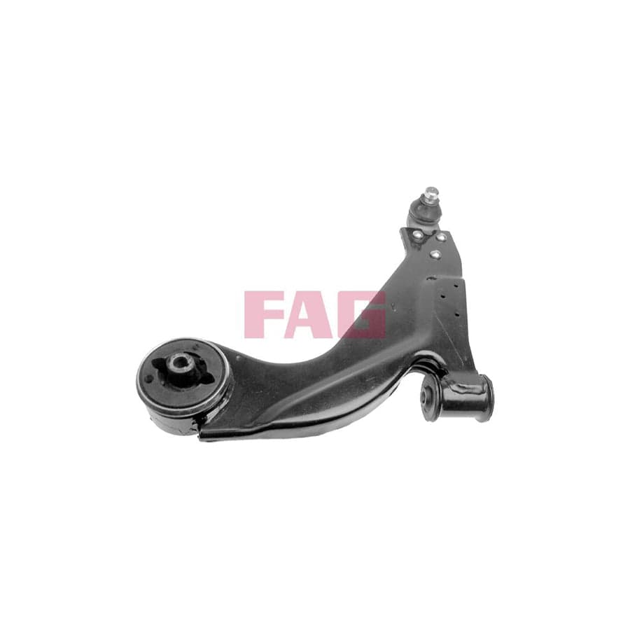 FAG 821 0261 10 Suspension Arm