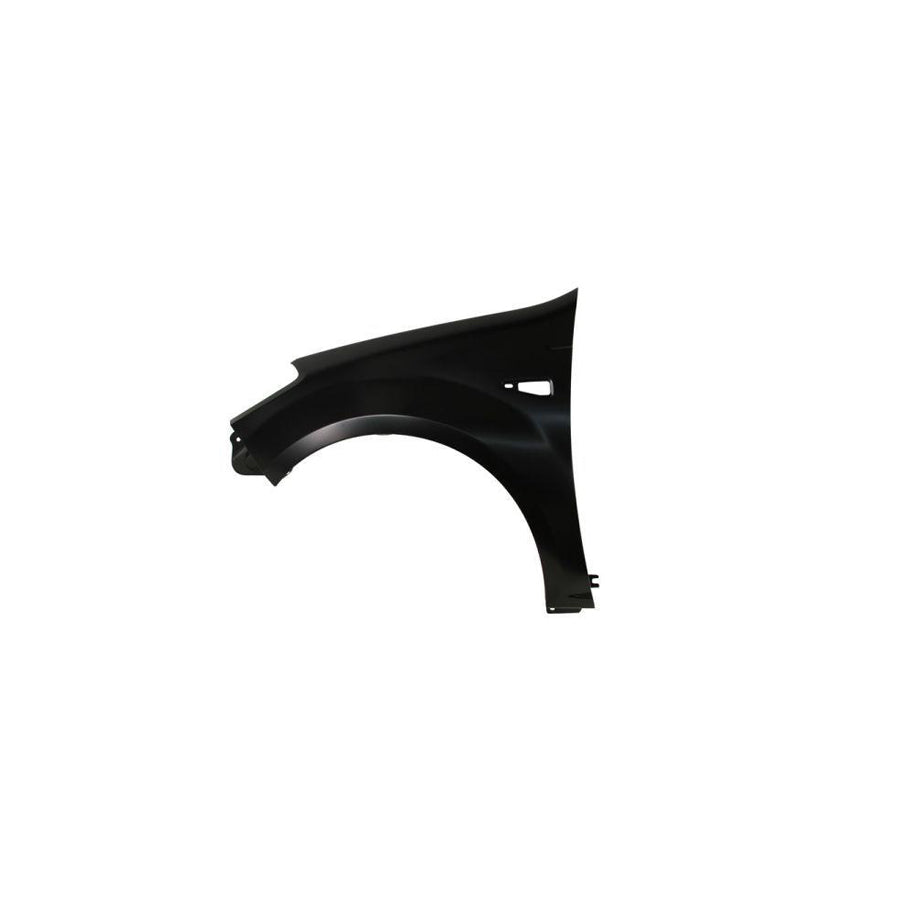 Blic 6504-04-1302311P Wing Fender for Dacia Sandero I (Sd)