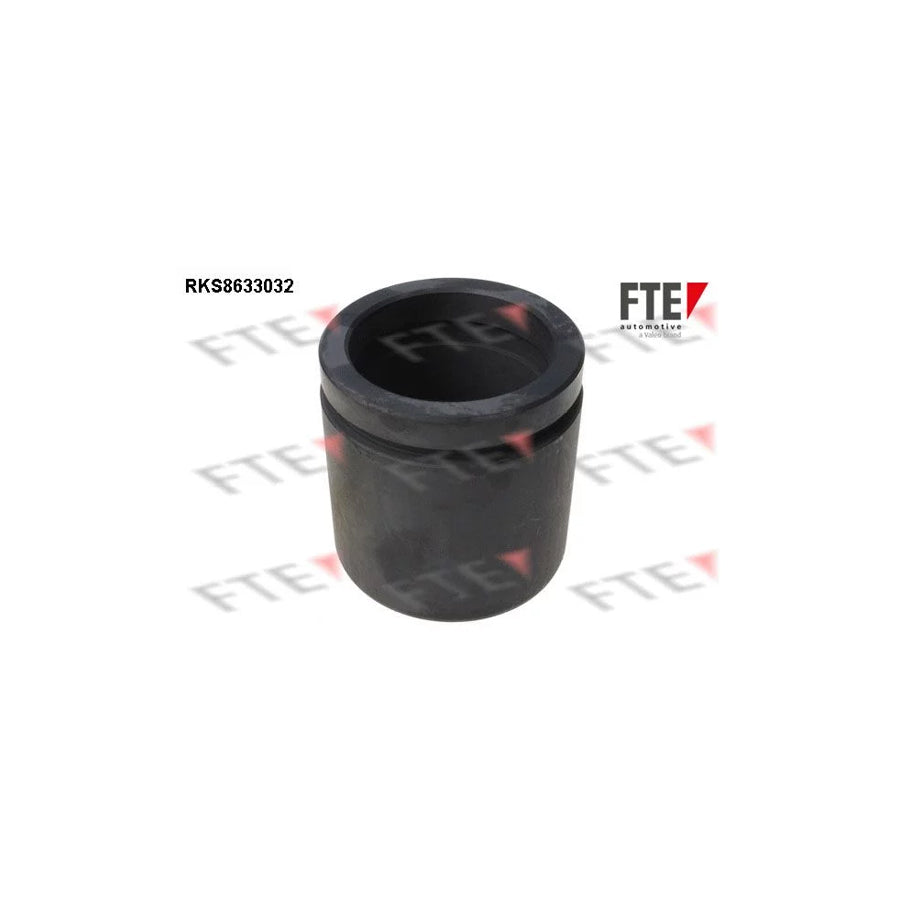 FTE 9313041 Piston, Brake Caliper