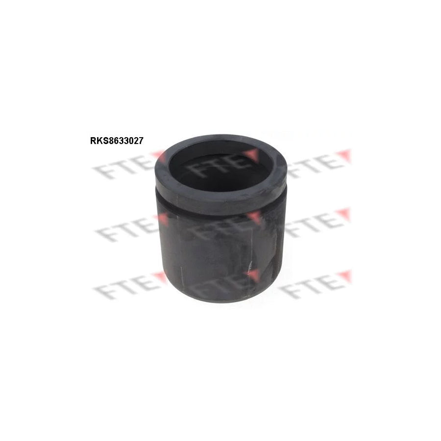 FTE 9313038 Piston, Brake Caliper