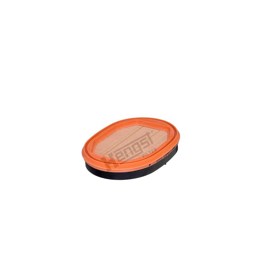 Hengst Filter E1669LS Secondary Air Filter