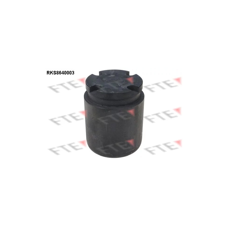 FTE 9313065 Piston, Brake Caliper