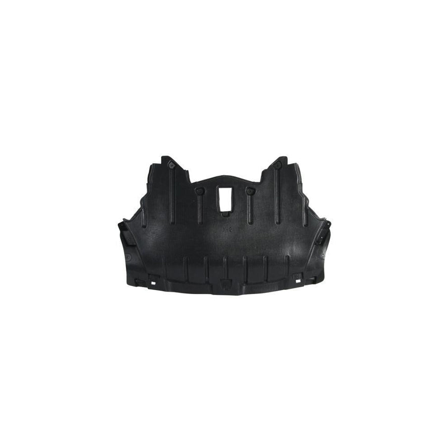 Blic 6601-02-0099860P Engine Cover for BMW X6 (E71, E72)