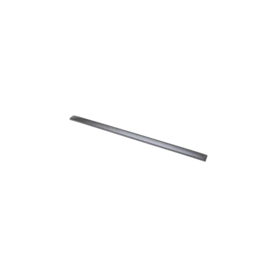 Genuine BMW 51137903859 E70 Molding, Door, Primed, Rear Left (Inc. X5)