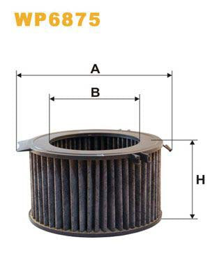 WIX Filters WP6875 Pollen Filter