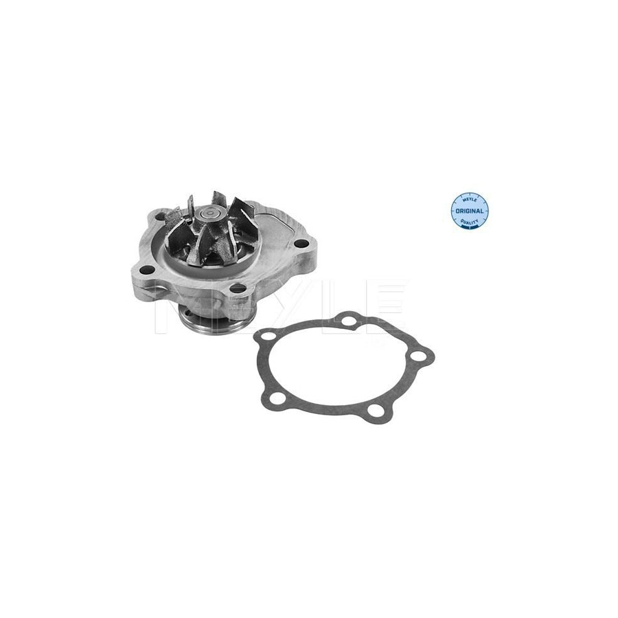 Meyle 33-13 220 0004 Water Pump