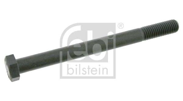 Febi Bilstein 22597 Screw | ML Performance UK Car Parts