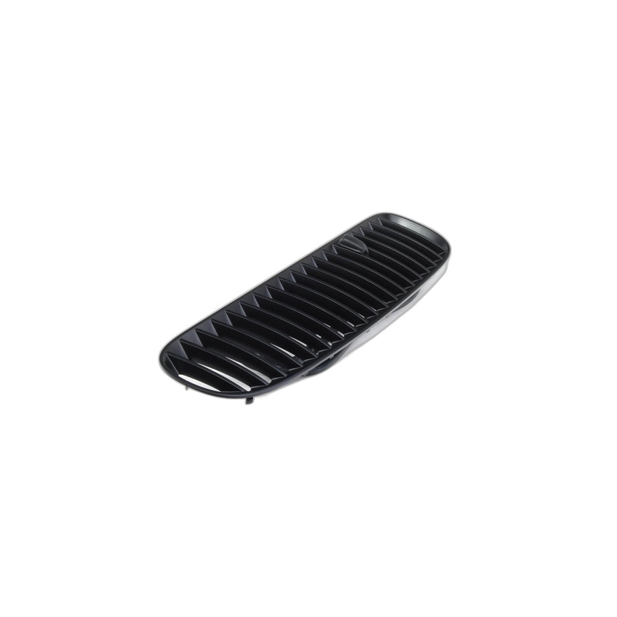 Genuine BMW 51137113730 E53 Grille,Air Inlet Right SCHWARZ (Inc. X5 3.0d & X5 3.0i)
