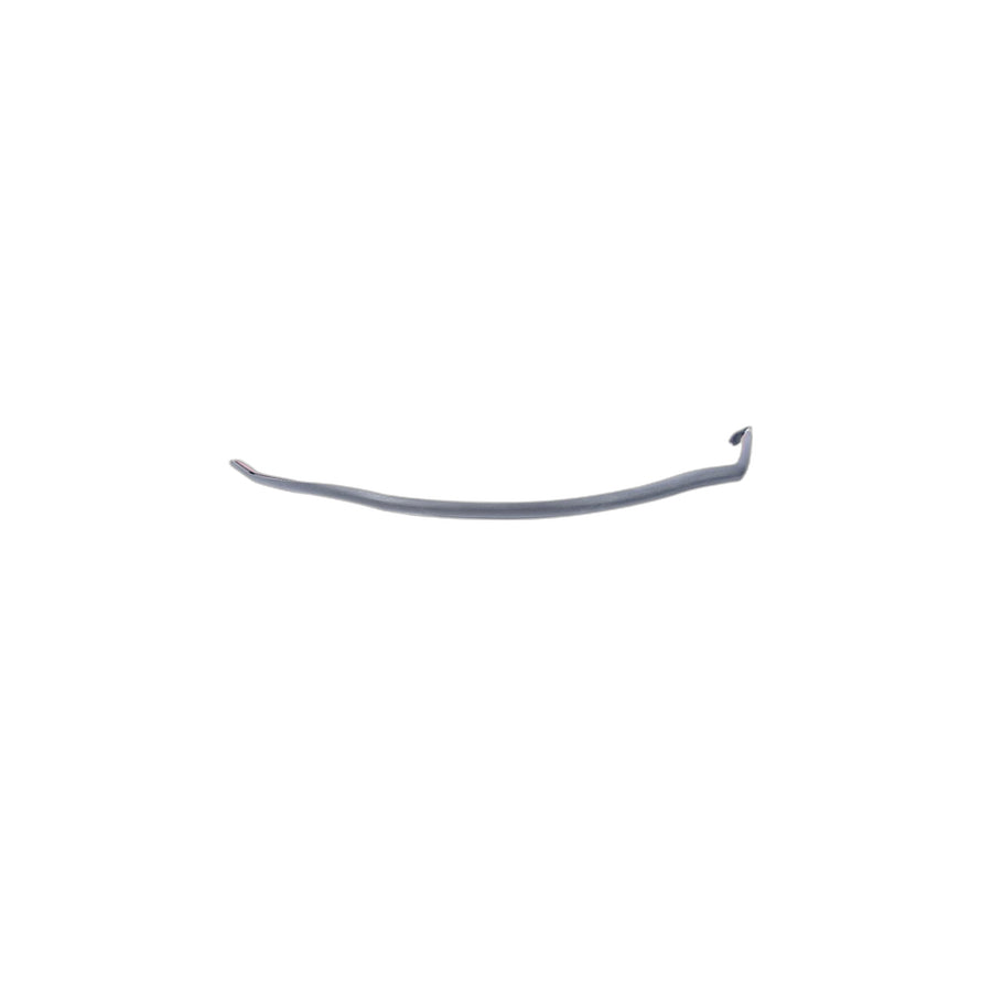 Genuine BMW 51767196345 Door Joint Seal, A-Pillar, Left (Inc. 550i, 530d & 535dX)
