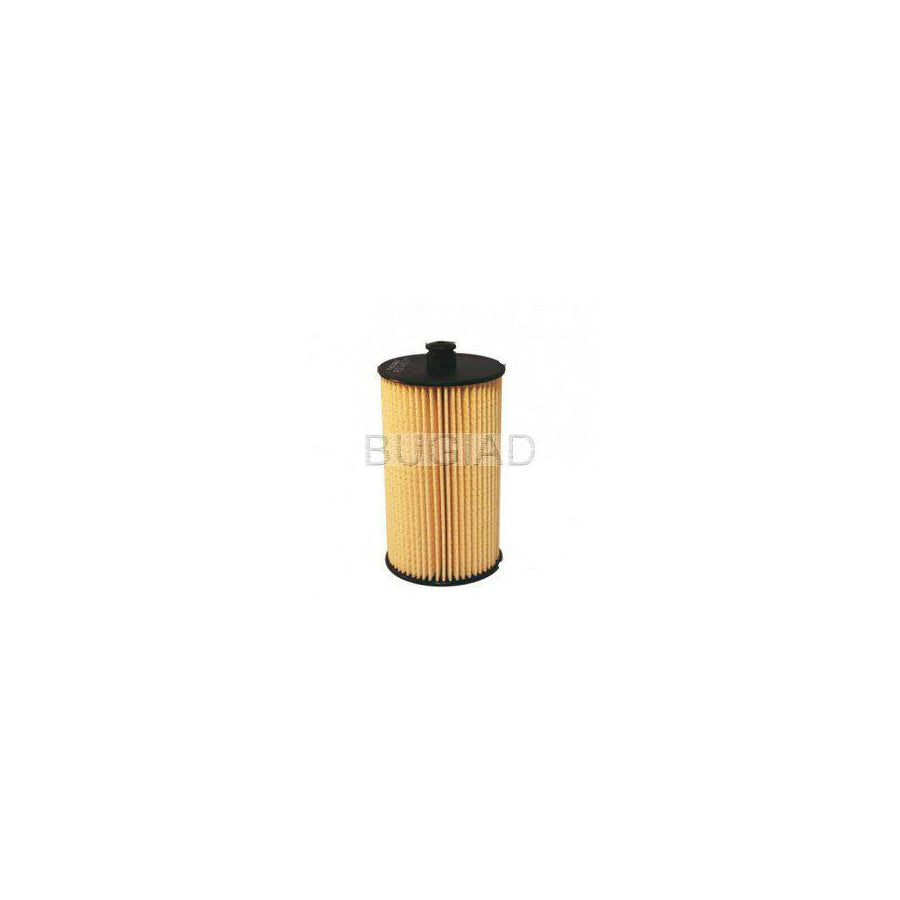 BUGIAD Bsp23698 Fuel Filter for VW Crafter