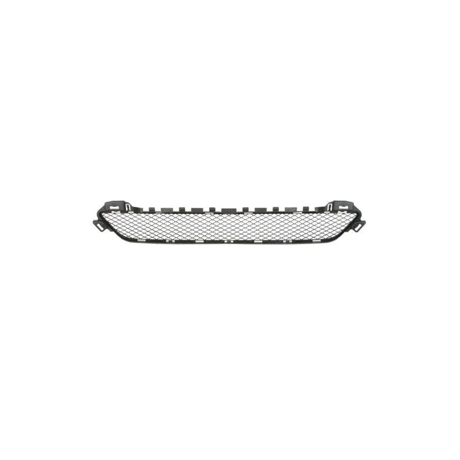 Blic 6502-07-3521910P Bumper Grill Suitable for Mercedes-Benz C-Class