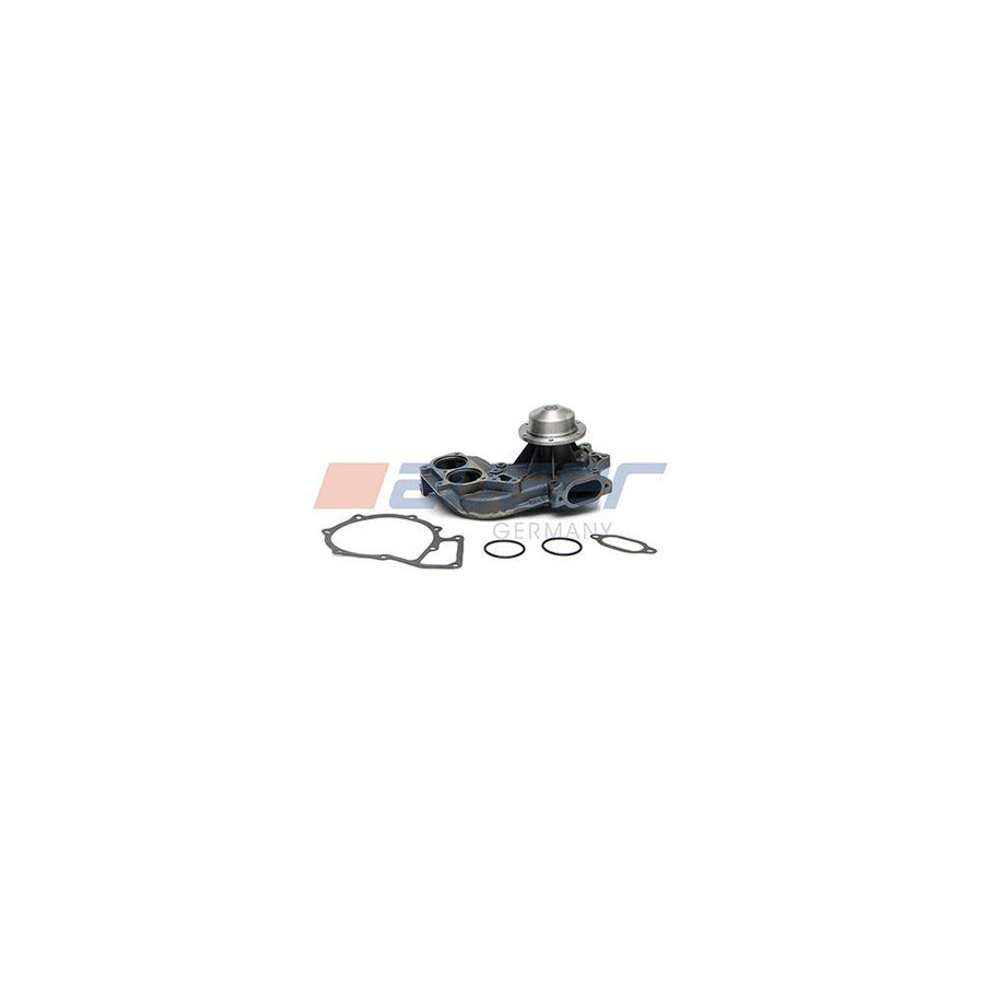 Auger 57672 Water Pump