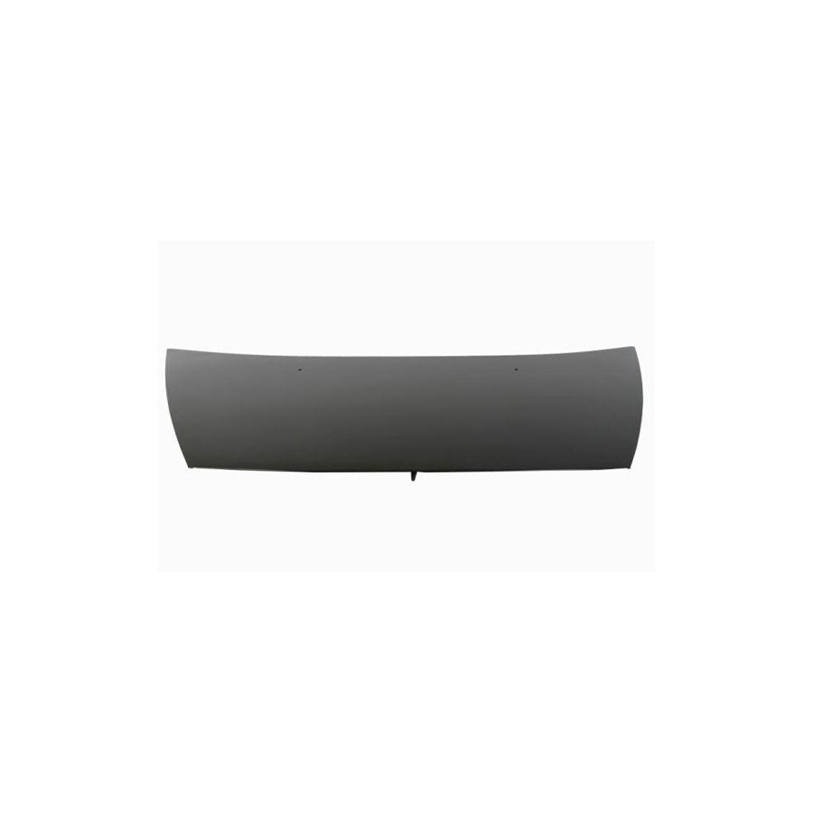 Blic 6803-00-0519281P Bonnet for Citroen C3 I Hatchback (Fc, Fn)