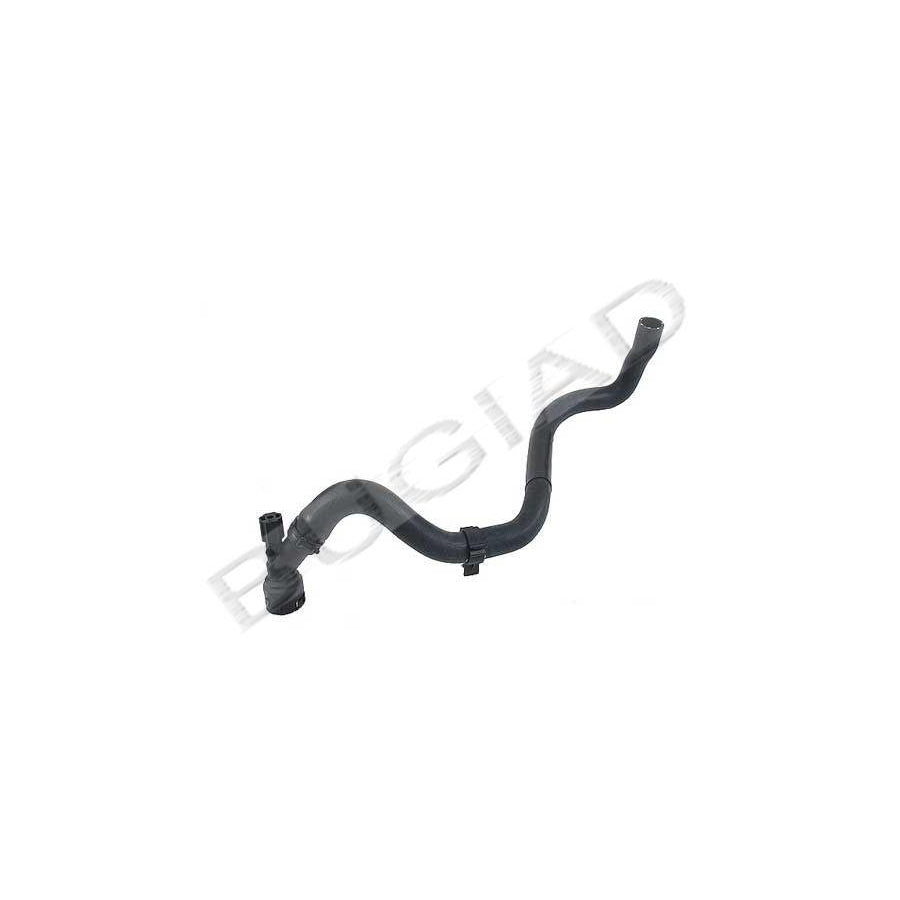 BUGIAD Bsp21834 Radiator Hose