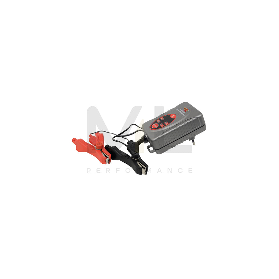 Motor X 4295864 Battery Charger 6/12V