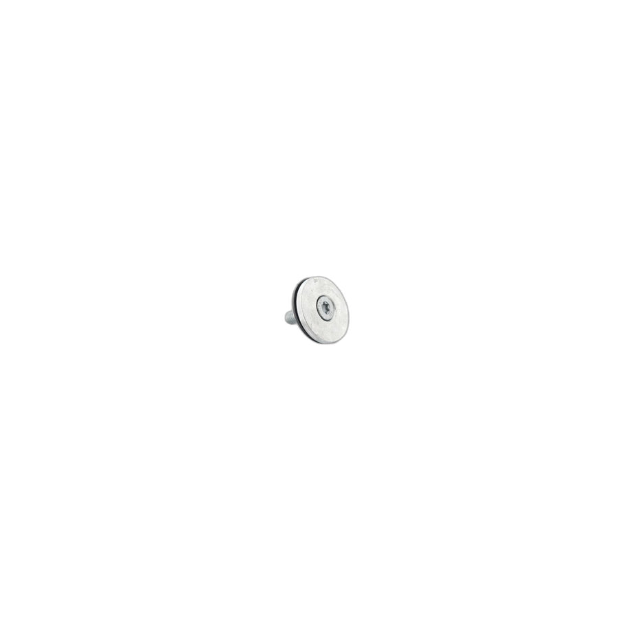 Genuine BMW 51348211456 E39 Screw (Inc. 525i)