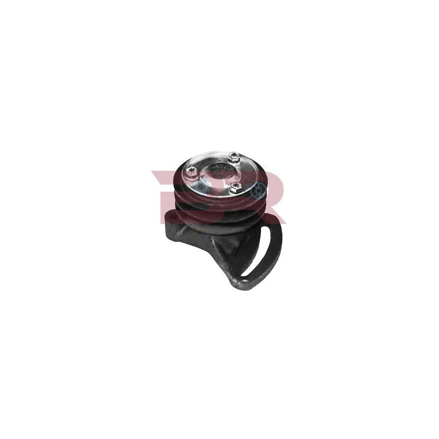 Botto Ricambi Brm6784 Belt Tensioner, V-Ribbed Belt For