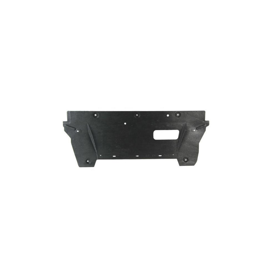 Blic 6601-02-1617860P Engine Cover for Nissan Qashqai / Qashqai 2 I (J10, Nj10)