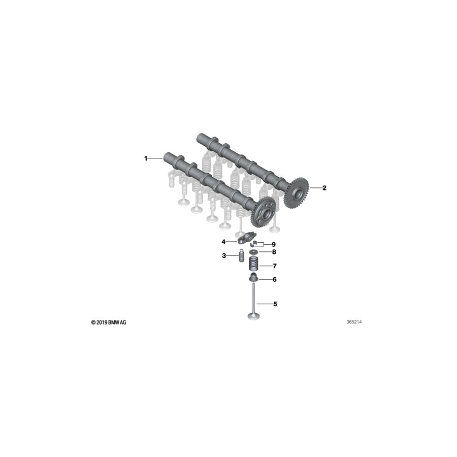 Genuine BMW 11318511209 F45 Camshaft Exhaust (Inc. One D, 216d & 114d)