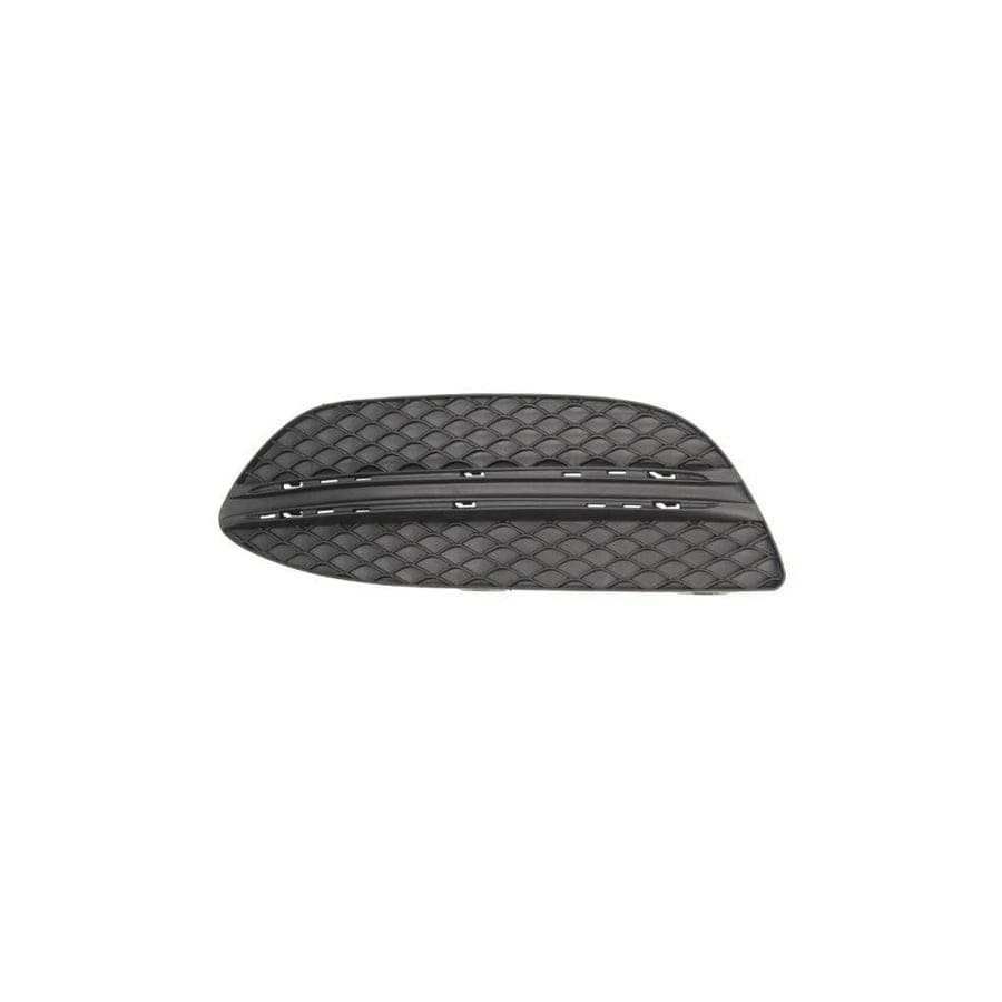 Blic 6502-07-3521915P Bumper Grill Suitable for Mercedes-Benz C-Class