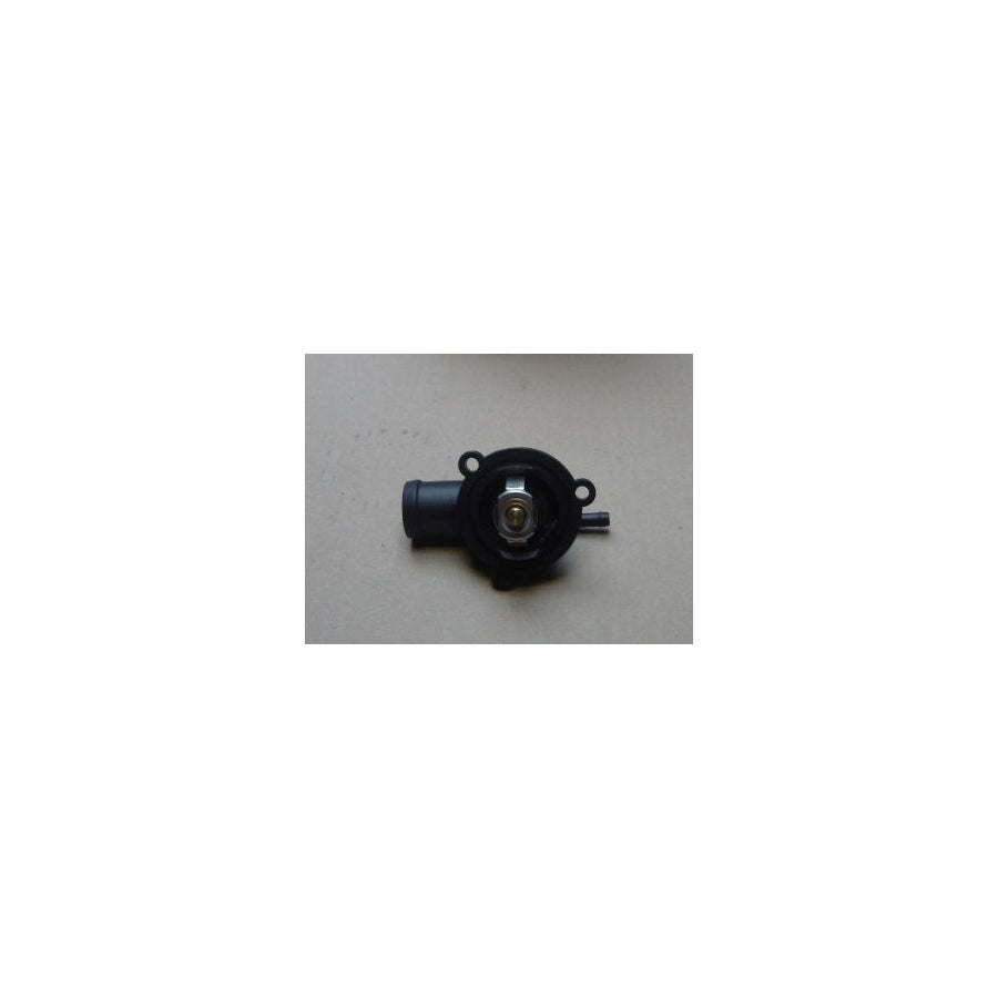 BUGIAD Bsp20367 Engine Thermostat for Skoda Fabia