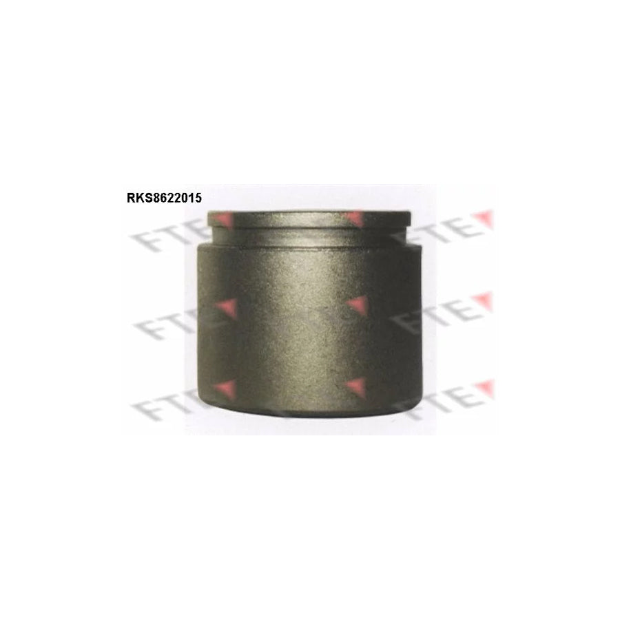 FTE 9313176 Piston, Brake Caliper