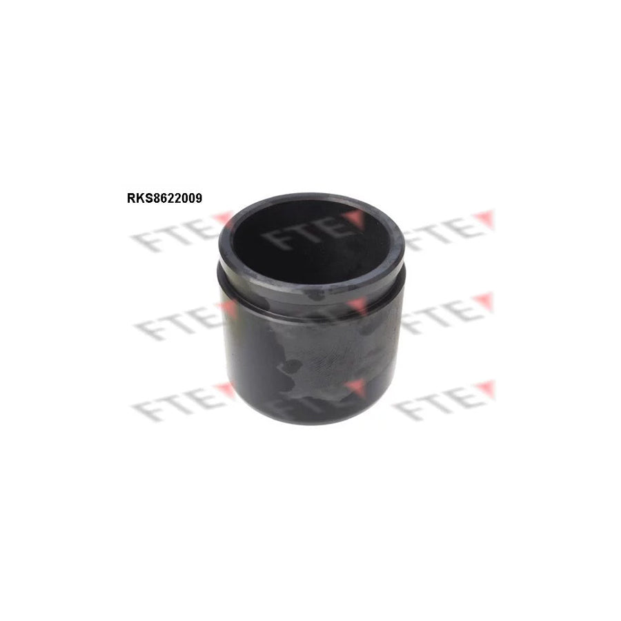 FTE 9313172 Piston, Brake Caliper