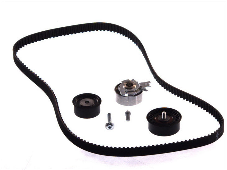 INA 530007810 Timing Belt Set