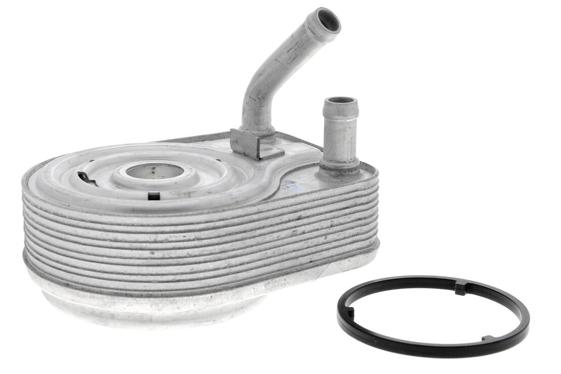 Ackoja A52600008 Oil Cooler, Engine Oil