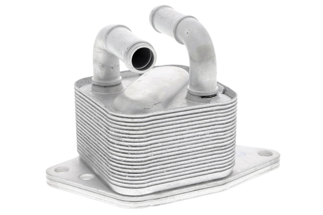 VEMO V15-60-6072 Oil Cooler, Engine Oil