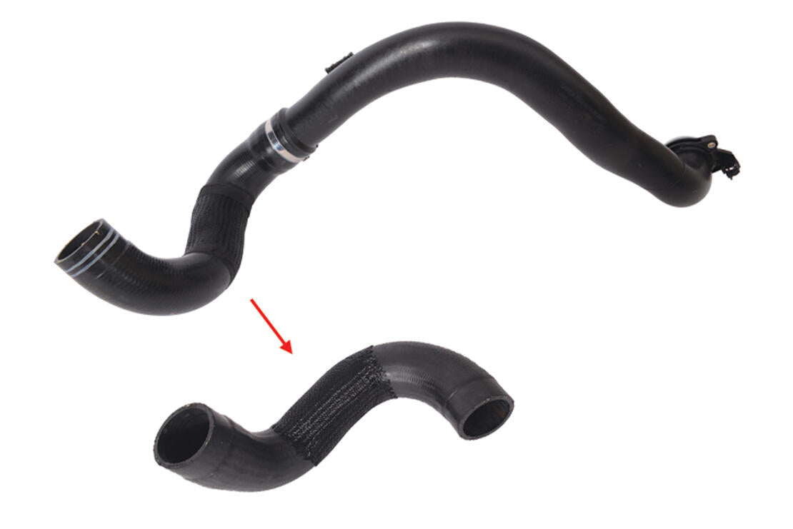 VAICO V241177 Charge Air Hose | ML Performance Car Parts