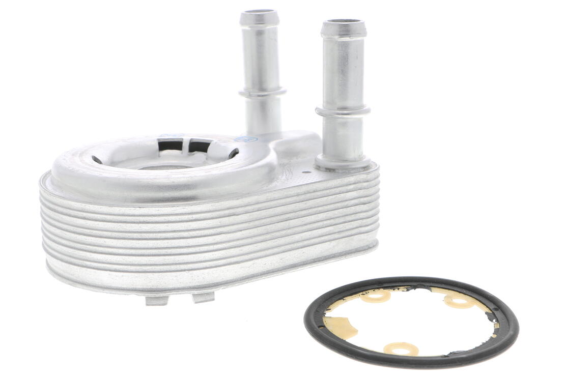 VEMO V24-60-0021 Oil Cooler, Engine Oil