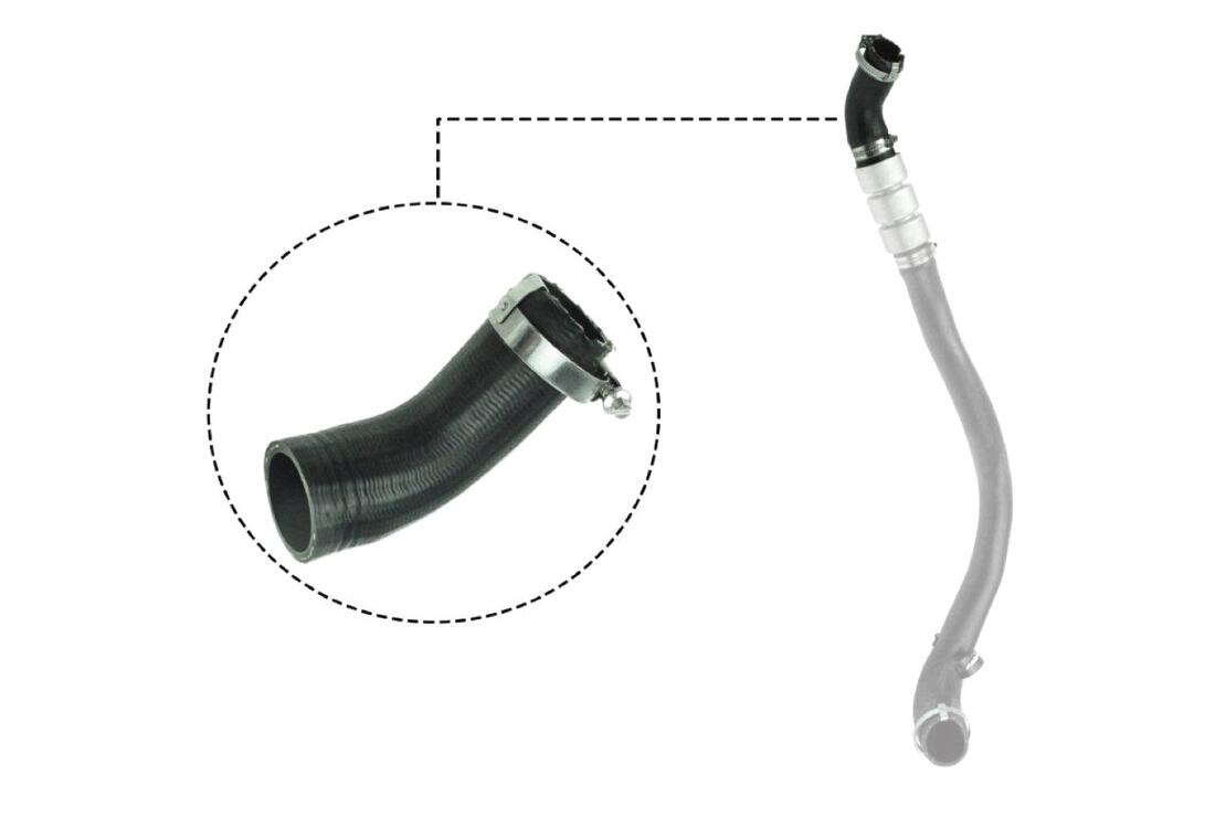 VAICO V251037 Charge Air Hose | ML Performance Car Parts