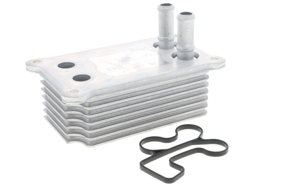 VEMO V25-60-0031 Oil Cooler, Engine Oil