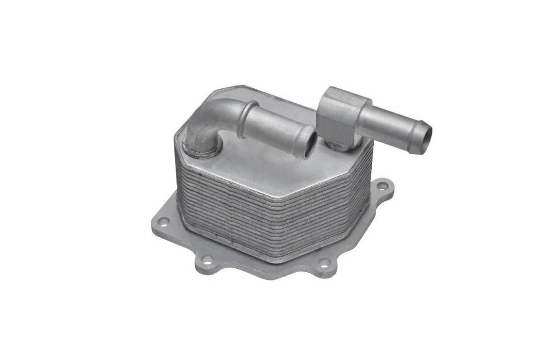 VEMO V25-60-3033 Oil Cooler, Engine Oil
