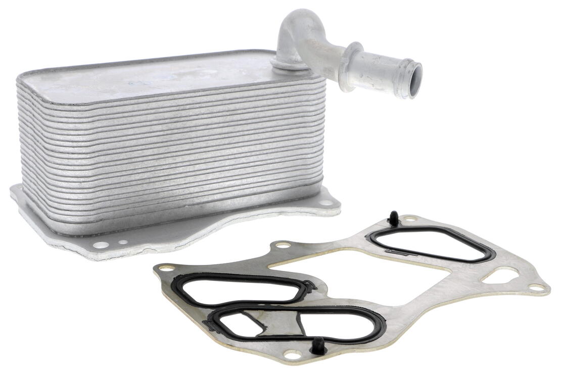 VEMO V30-60-1342 Oil Cooler, Engine Oil