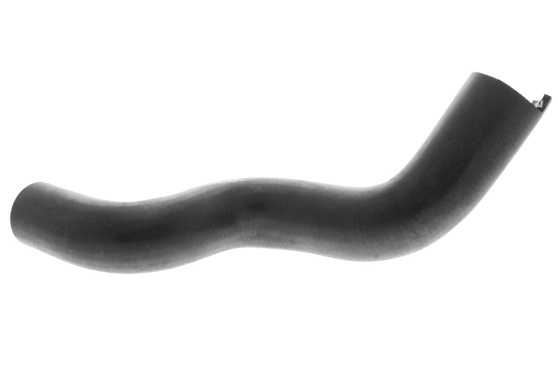 VAICO V420637 Radiator Hose | ML Performance Car Parts