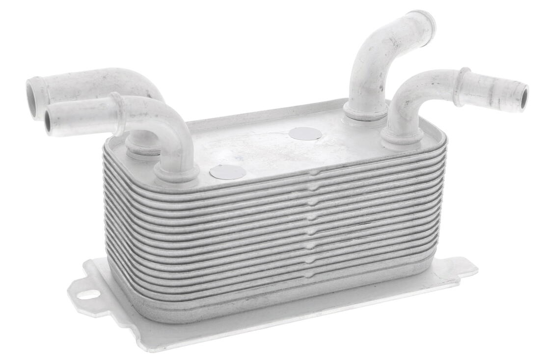 VEMO V95-60-0007 Oil Cooler, Engine Oil