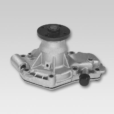 HEPU P915S Water Pump