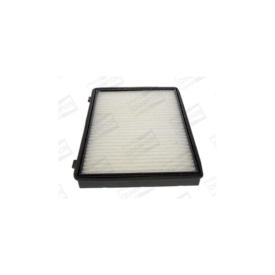 Champion Ccf0164 Pollen Filter