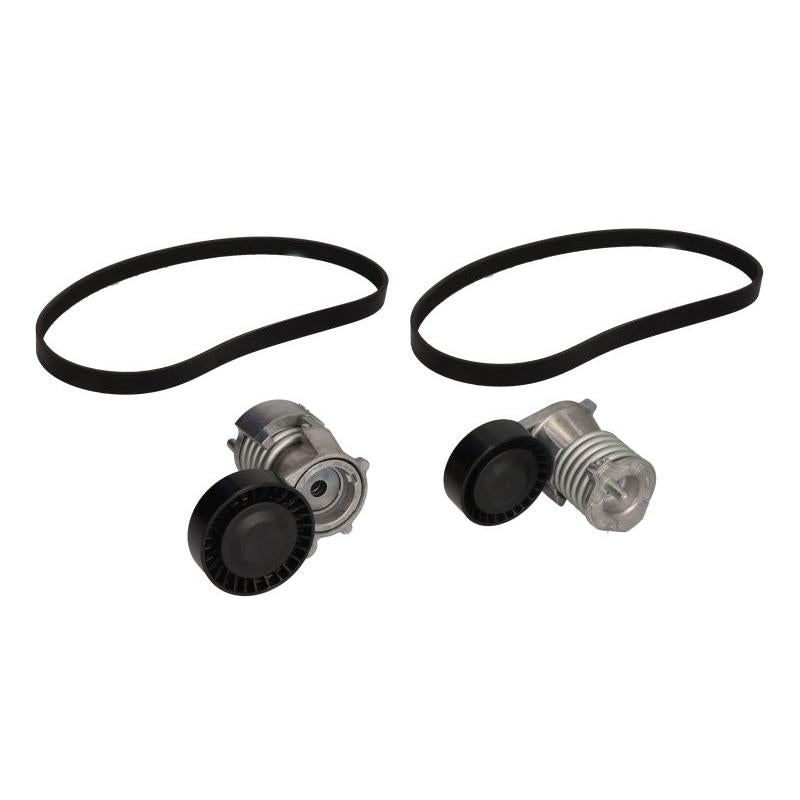 INA 529047710 V-Ribbed Belt Set