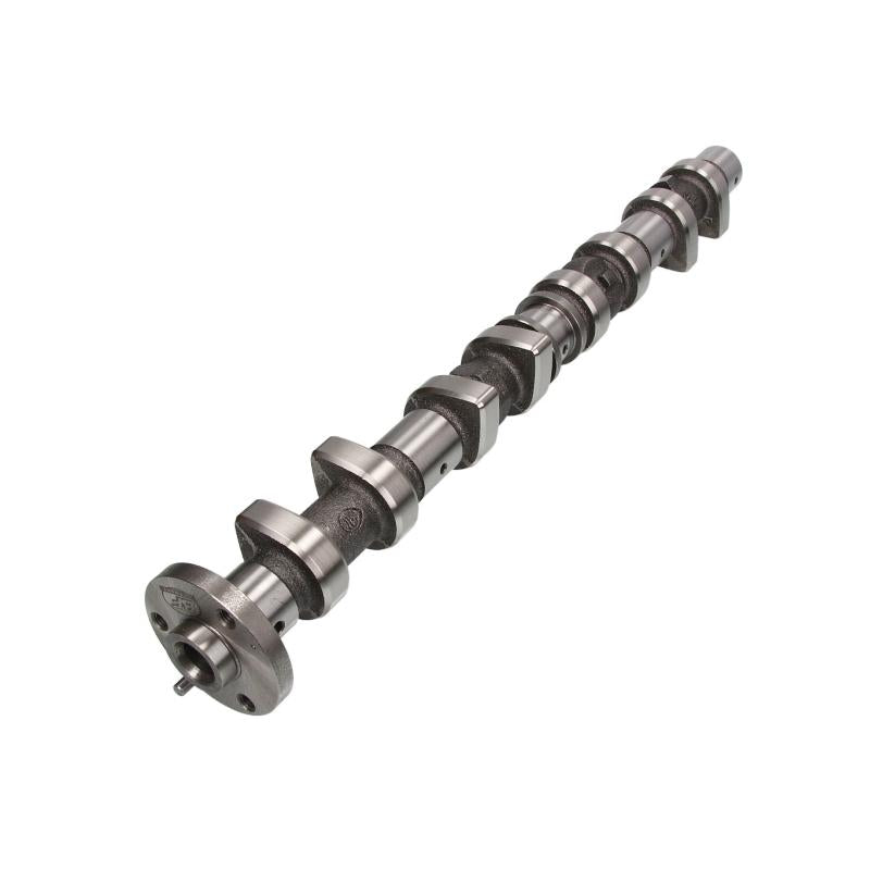 BF 20100361100 Camshaft