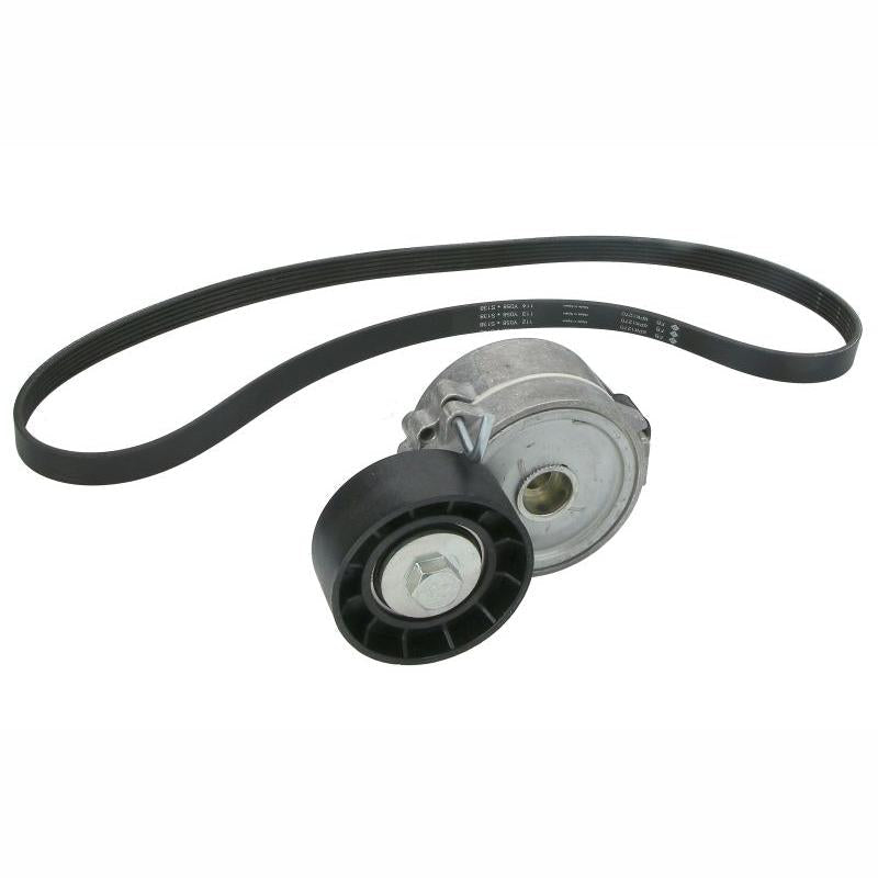 INA 529031510 V-Ribbed Belt Set