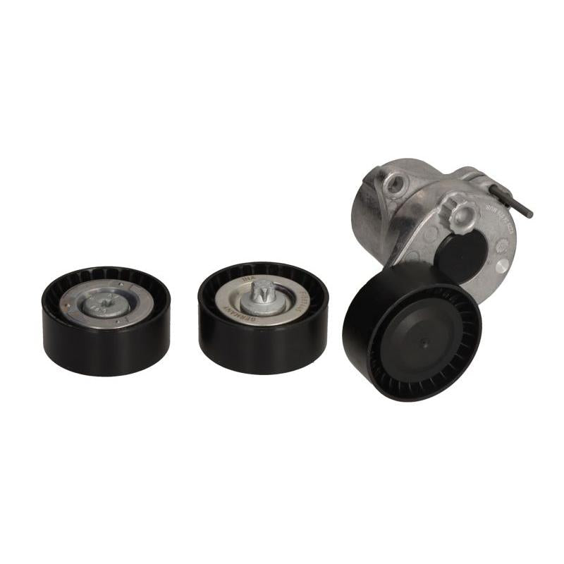INA 529047910 V-Ribbed Belt Set