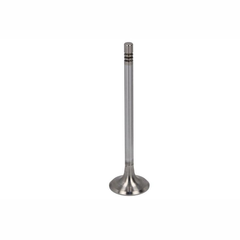 NE 147037002800 Intake Valve