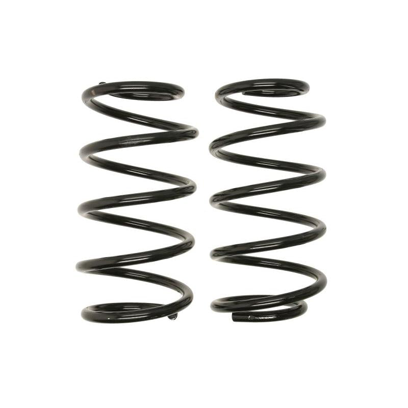 MOOG AMG80919 Suspension Springs Set