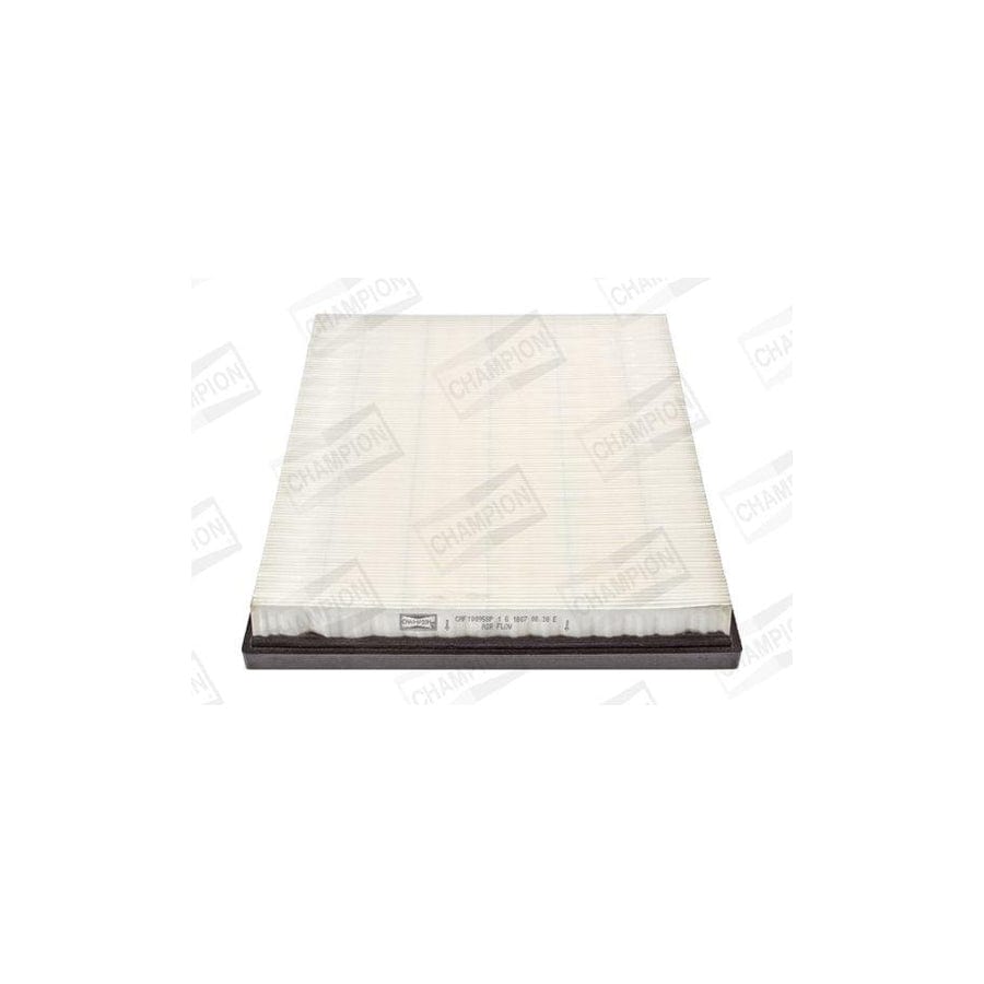 Champion Caf100958P Air Filter for BMW X5 (E70)