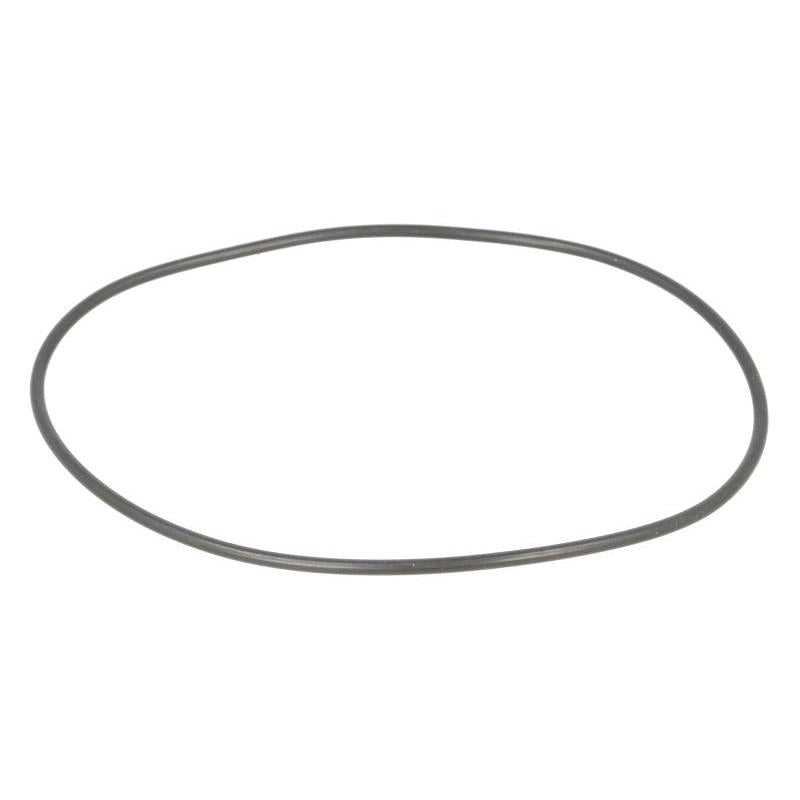 LEMA LE104875 Water Pump Gasket
