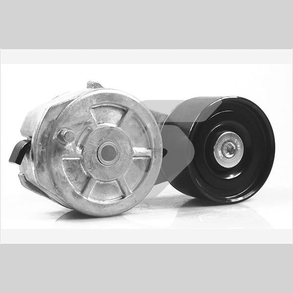 HUTCHINSON HUTK035 V-Ribbed Belt Tensioner Pulley